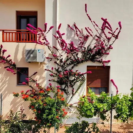 Dina Apartamento